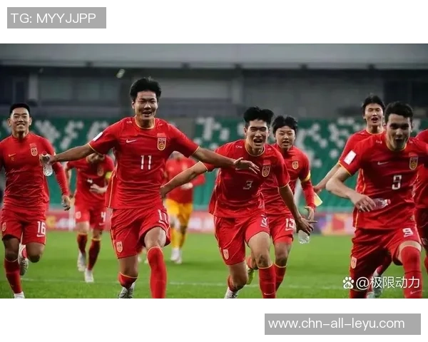 足球球迷的无私奉献与感人故事温暖了整个赛场的每一个角落